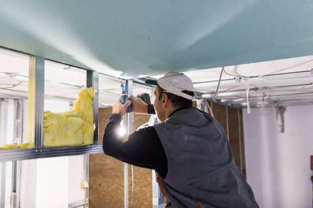 Best Spray Foam Insulation in Piedmont, AL