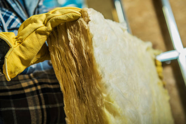 Best Insulation Maintenance and Repair in Piedmont, AL