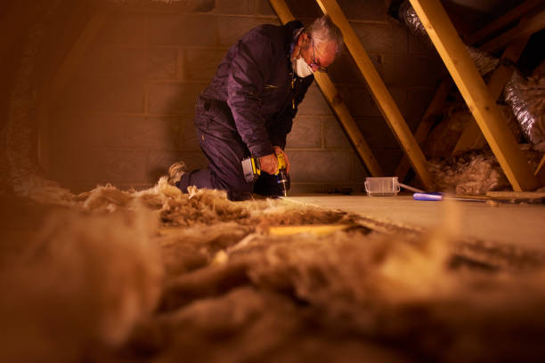 Best DIY Insulation Kits and Guidance in Piedmont, AL